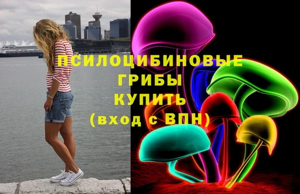 МДПВ Надым