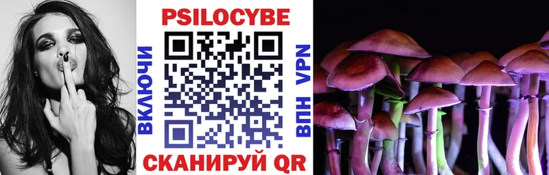 Галлюциногенные грибы Psilocybe  Купить  Кизилюрт 